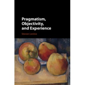 Pragmatism, Objectivity, and Experience,Steven Levine,Cambridge University Press,9781108422895,
