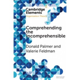 Comprehending the Incomprehensible-Organization Theory and Child Sexual Abuse in Organizations-PALMER-Cambridge University Press-9781108439299