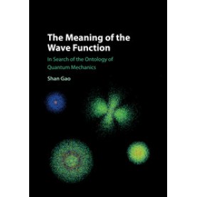 The Meaning of the Wave Function,Gao,Cambridge University Press,9781107124356,