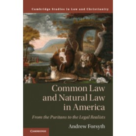 Common Law and Natural Law in America,Andrew Forsyth,Cambridge University Press,9781108476973,