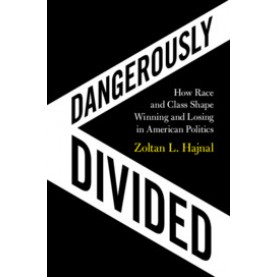 Dangerously Divided,Zoltan L. Hajnal,Cambridge University Press,9781108719728,