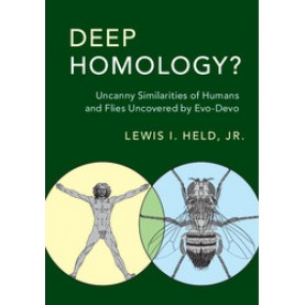 Deep Homology?,Held, Jr,Cambridge University Press,9781316601211,