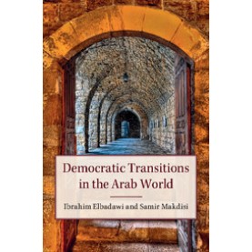 Democratic Transitions in the Arab World,Elbadawi,Cambridge University Press,9781107164208,