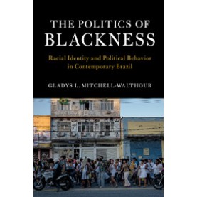 The Politics of Blackness,Mitchell-Walthour,Cambridge University Press,9781107186101,