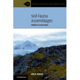 Soil Fauna Assemblages,Uffe N. Nielsen,Cambridge University Press,9781316642108,