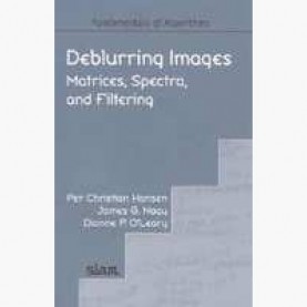 DELBURRING IMAGES,HANSEN,Cambridge University Press,9780898716184,